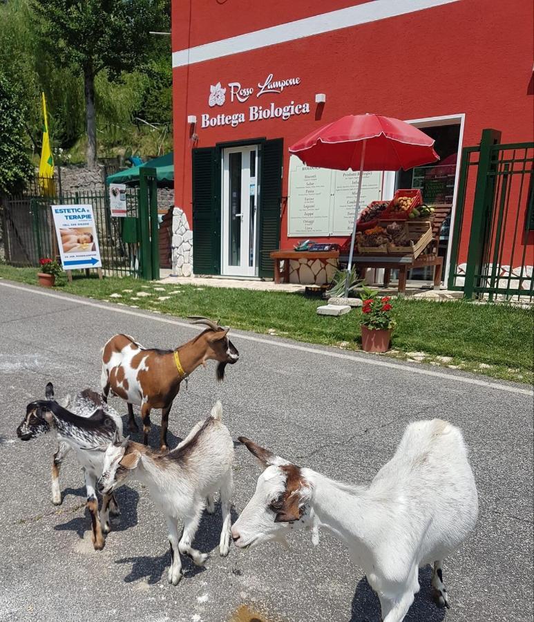 Agriturismo Rosso Lampone Cerreto Laziale Esterno foto
